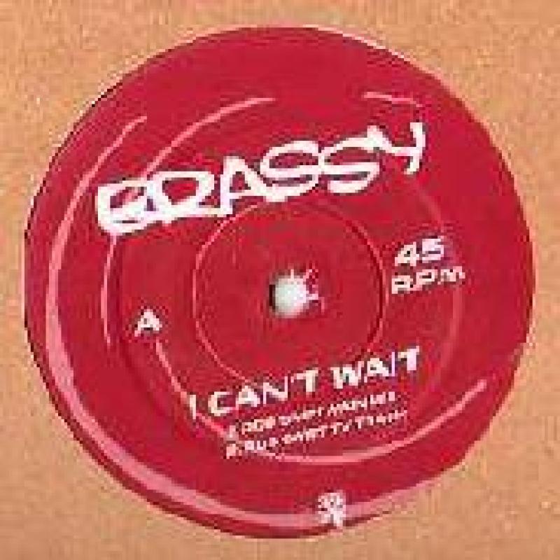 未使用 Brassy - I Can't Wait / レコード, 12\