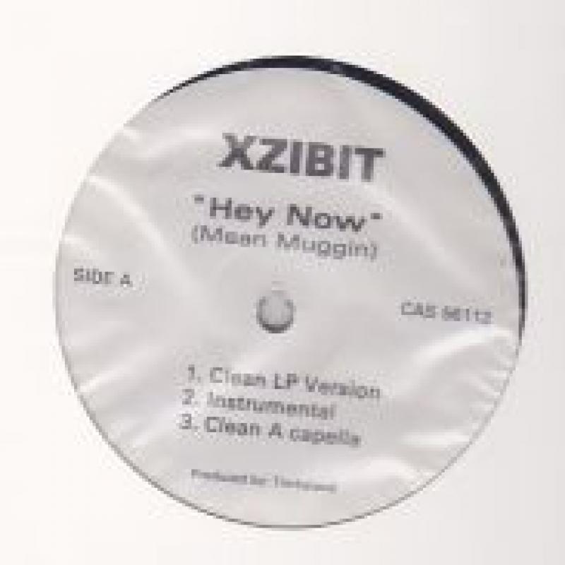 XZIBIT/HEY NOW (MEAN MUGGIN) レコード通販・買取のサウンドファインダー