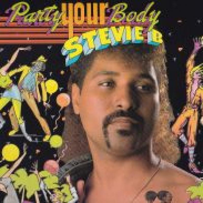 STEVIE B/PARTY YOUR BODY (LP) レコード通販・買取のサウンドファインダー