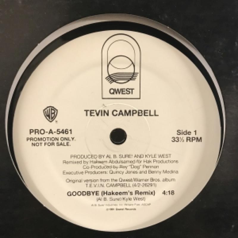 TEVIN CAMPBELL /GOODBYE (HAKEEM'S REMIX) レコード通販・買取の