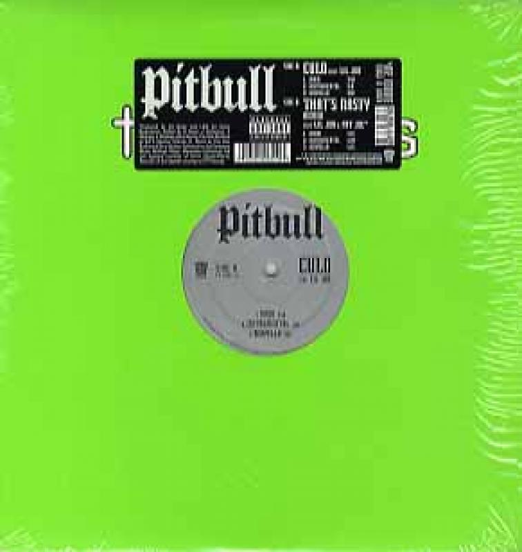 PITBULL feat Lil Jon, Fat Joe/CULO / THAT'S NASTY-REMIX レコード 