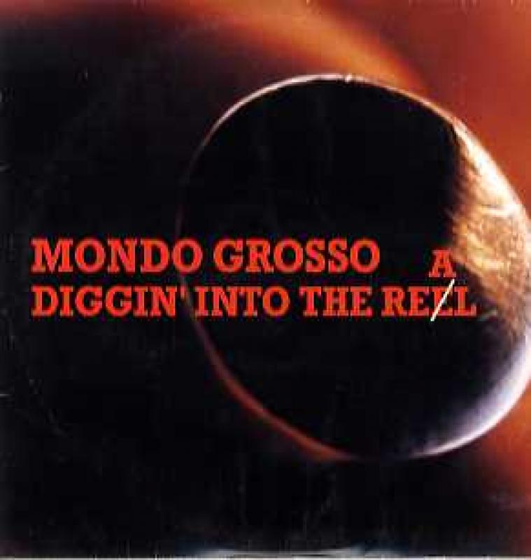 MONDO GROSSO/Family / Do You See What I See (Diggin' Into The Real