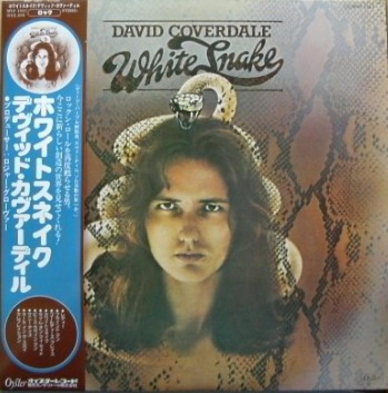 DAVID COVERDALE/ホワイトスネイク レコード通販・買取のサウンド