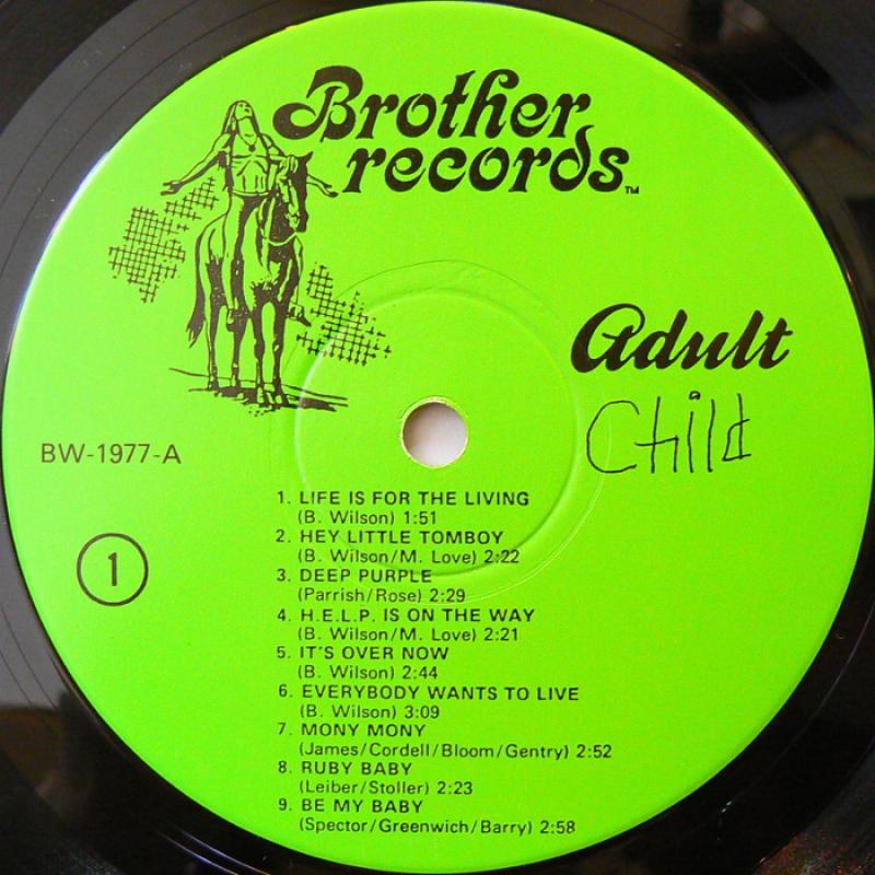 BRIAN WILSON/ADULT CHILD レコード通販・買取のサウンドファインダー