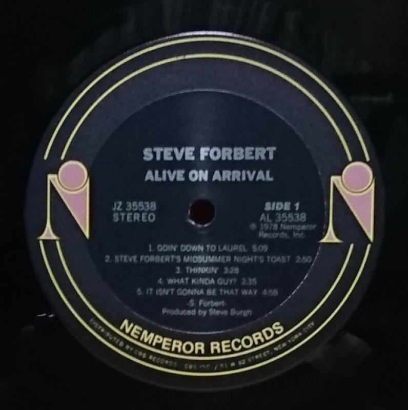 STEVE FORBERT/Alive On Arrival レコード通販・買取のサウンドファインダー