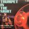TRUMPET IN THE NIGHT