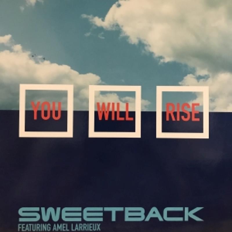 SWEETBACK/YOU WILL RISE feat. AMEL LARRIEUX) レコード通販・買取のサウンドファインダー