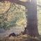 PLASTIC ONO BAND