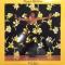 THIS IS NIECY (LP)