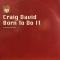BORN TO DO IT - LIMITED EDITION ALBUM SAMPLER