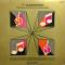 SQ QUADRAPHONIC : THE SPECTACULAR SOUND OF FOUR CHANNEL STEREO