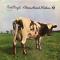 ATOM HEART MOTHER