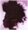 BIRD LIMITED BOX