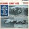 Original Surfin' Hits