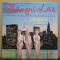 YOUNG GIRLS IN THE BIG CITY