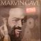 Motown Superstar Volume 15||Marvin Gaye