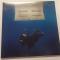 Hit Me Hard And Soft Indie Exclusive Sea Blue Vinyl