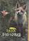 THE FOX 映画パンフレット