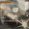 Come On And Do It / Transeuropa-Express